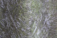 Lugton fibreglass roof work